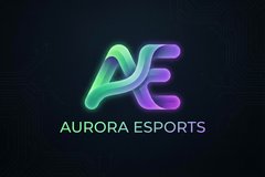 抖荫短视频合作品牌极光电竞